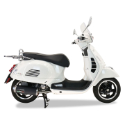 Auspuh Piaggio Vespa GTS 300 19-20 Evo4 Road GPR