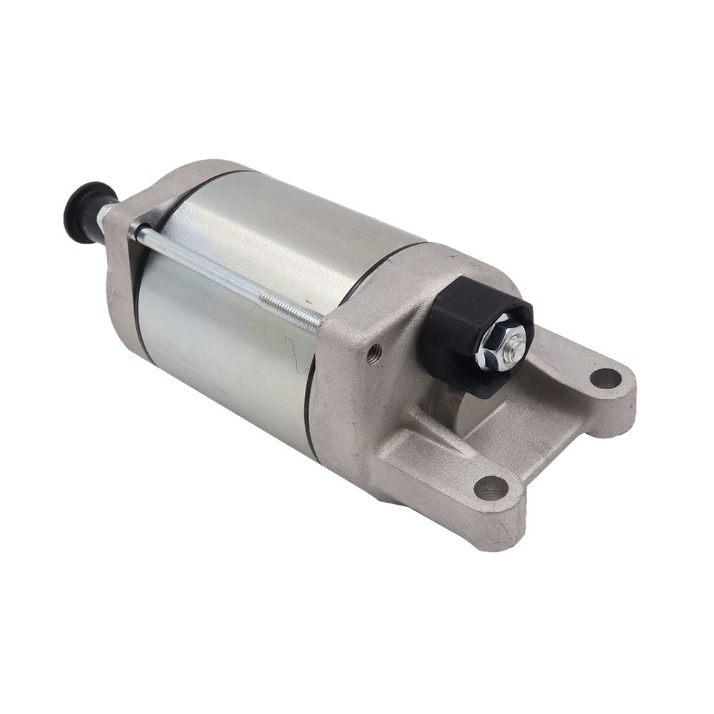 Anlaser Honda SH 300 07-14 OKYAMI
