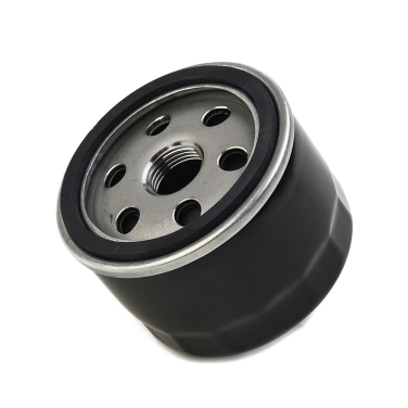 Filter ulja B&S 492932