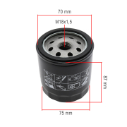 Filter ulja B&S 491056