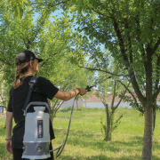 Akumulatorska prskalica THORP THP05