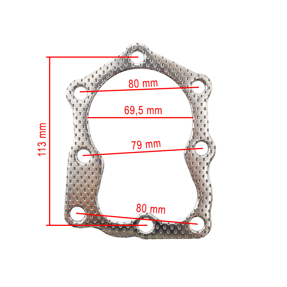 Dihtung glave B&S 5,5 KS 272200